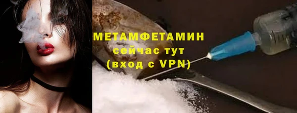 гидра Михайловка