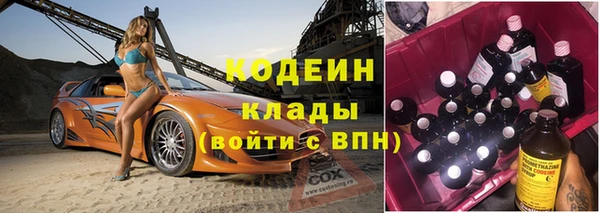 гидра Михайловка