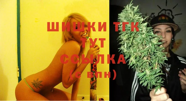 гидра Михайловка