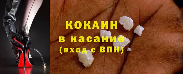 гидра Михайловка